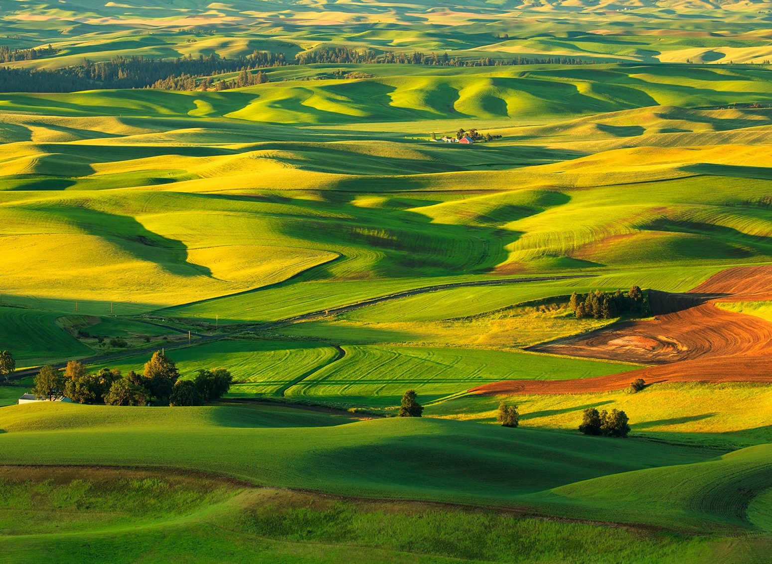Palouse
